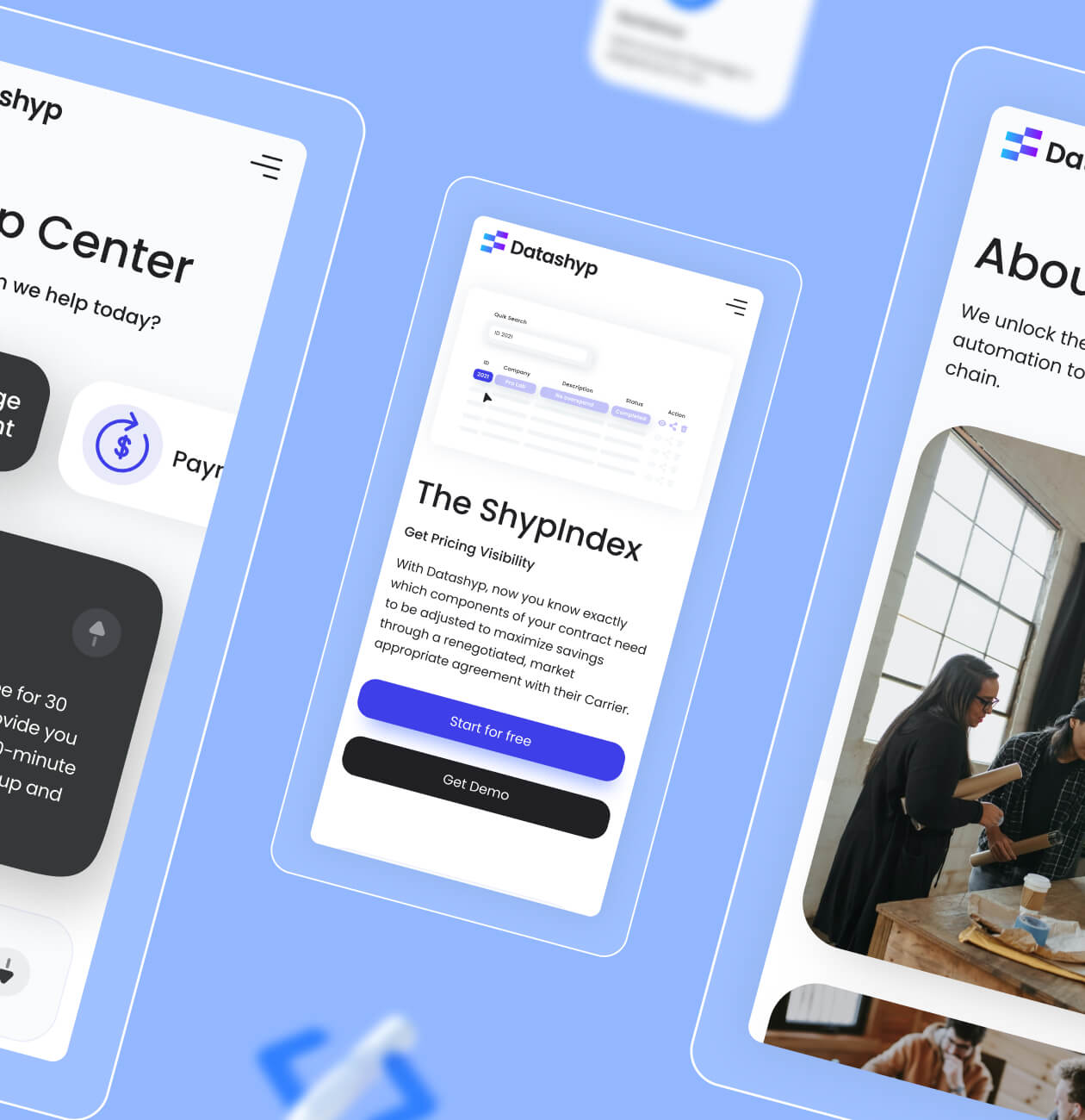 Datashyp – shipping management SaaS platform - Website Development - Photo 4