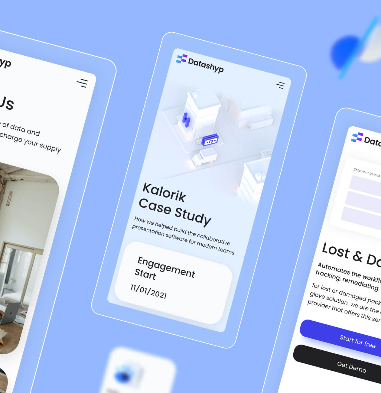 Datashyp – shipping management SaaS platform - Website Development - Photo 5