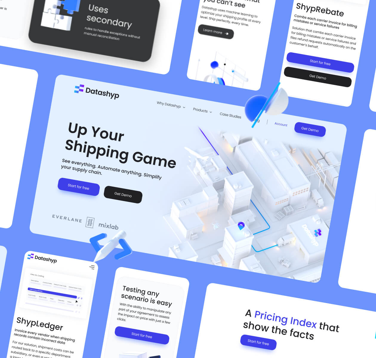 Datashyp – shipping management SaaS platform - Website Development - Photo